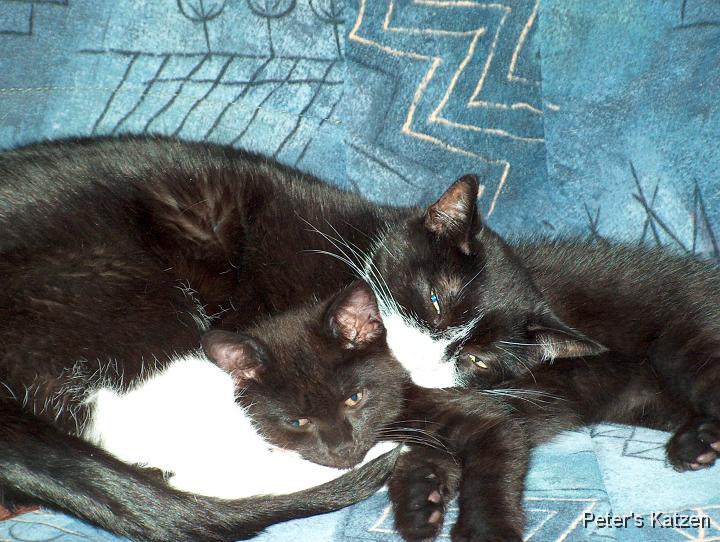 HPIM0531.JPG - Luna & Moritz