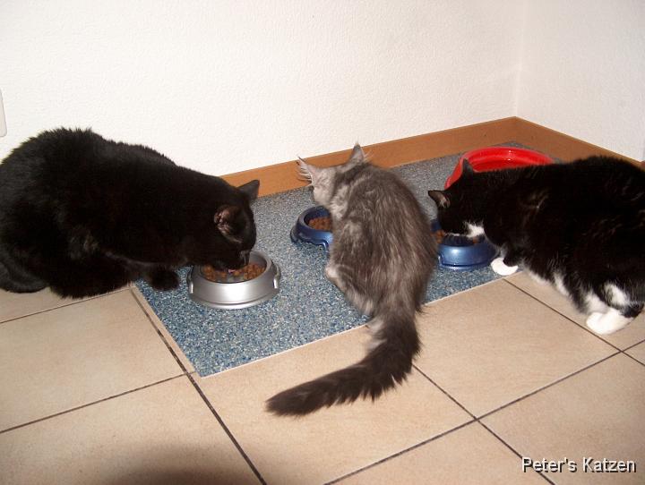 HPIM6213.JPG - Luna, Max & Moritz