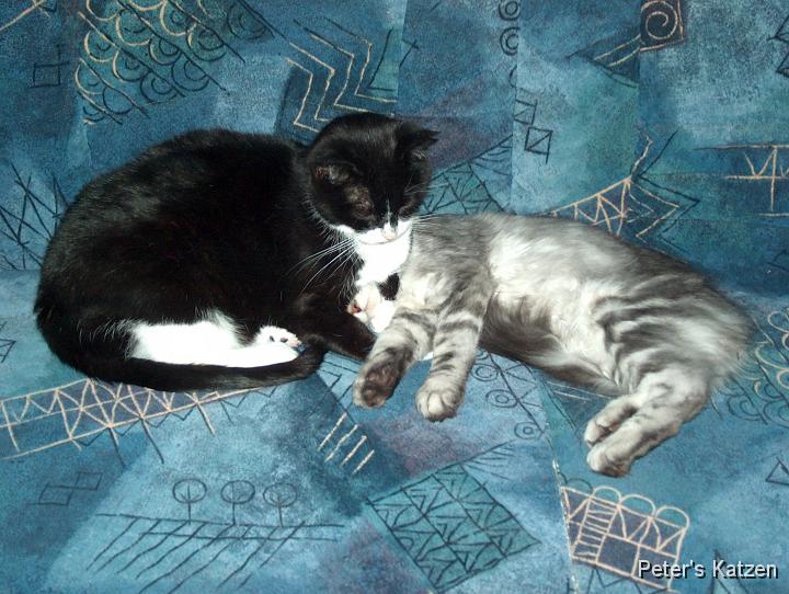 HPIM6305.JPG - Luna &  Max