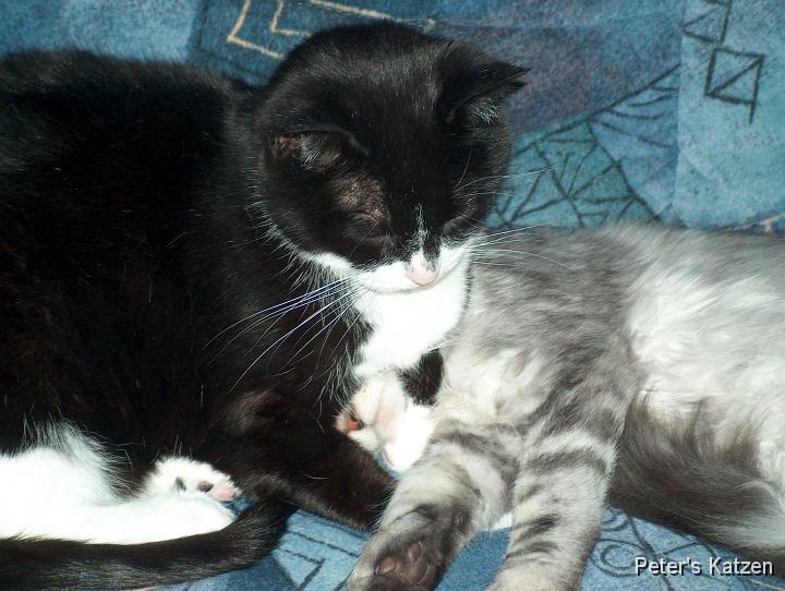 HPIM6306.JPG - Luna &  Max