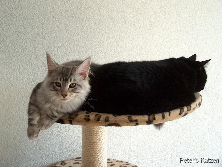 HPIM6475.JPG - Max & Moritz
