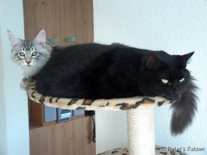 HPIM6477.JPG - Max & Moritz