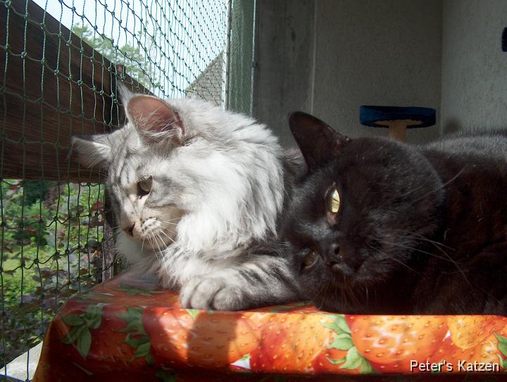HPIM6880.JPG - Max & Moritz