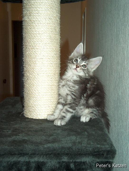 HPIM5865.JPG - Max