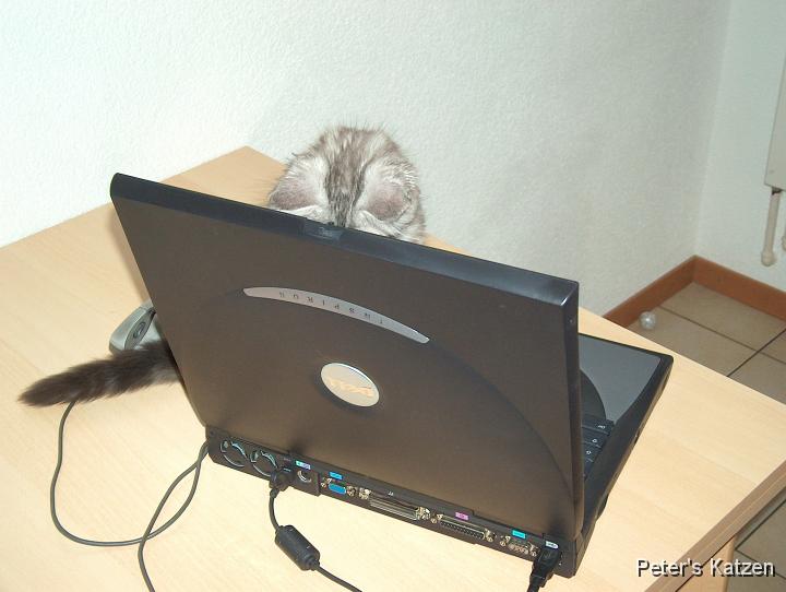 HPIM6113.JPG - Max