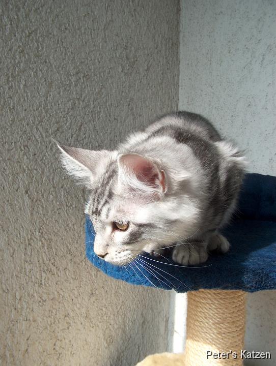 HPIM6375.JPG - Max
