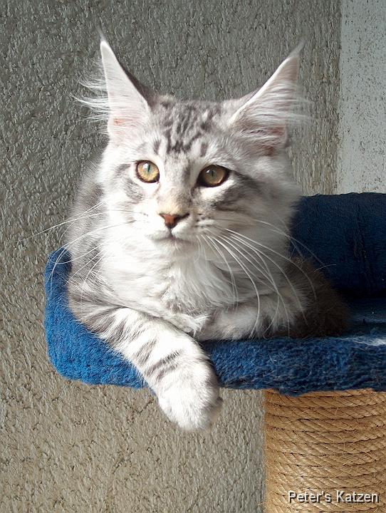 HPIM6385.JPG - Max