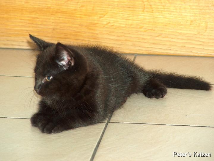 HPIM0446.JPG - Moritz