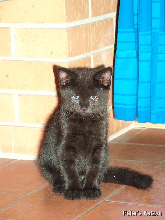 HPIM0451.JPG - Moritz