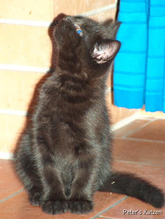 HPIM0452.JPG - Moritz