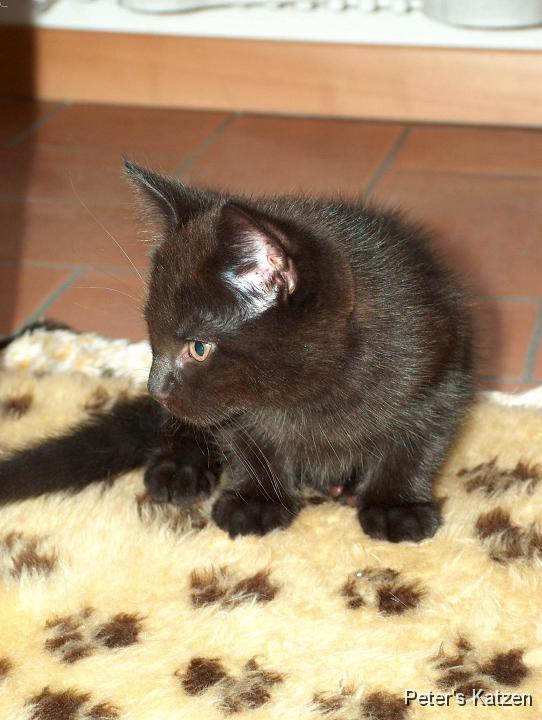 HPIM0461.JPG - Moritz