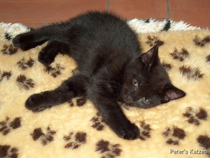 HPIM0463.JPG - Moritz