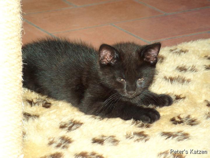 HPIM0465.JPG - Moritz