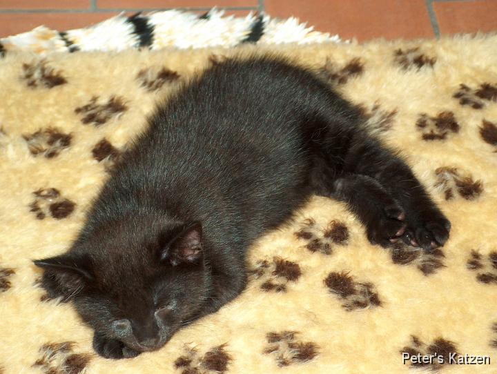 HPIM0466.JPG - Moritz