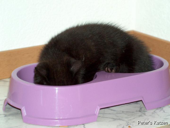 HPIM0469.JPG - Moritz