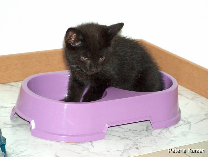 HPIM0472.JPG - Moritz