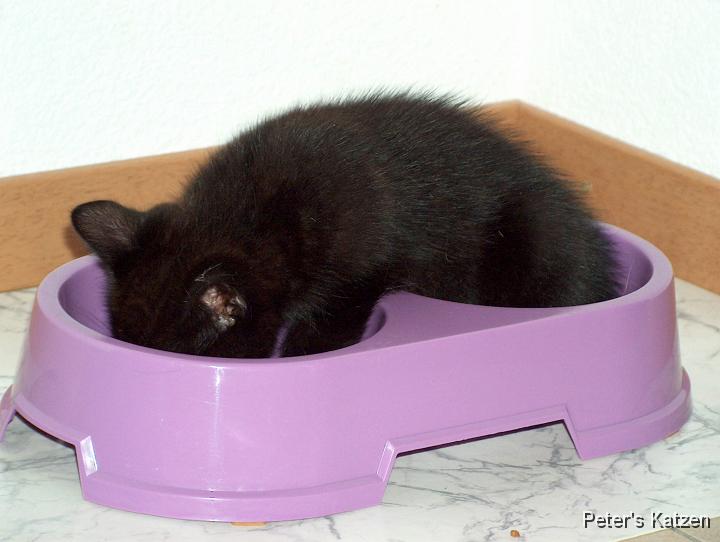 HPIM0474.JPG - Moritz