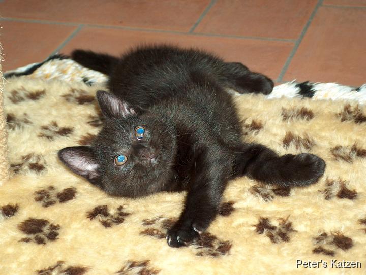 HPIM0485.JPG - Moritz