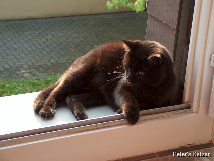 HPIM1374.JPG - Moritz