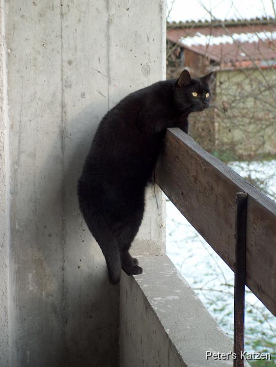 HPIM2821.JPG - Moritz